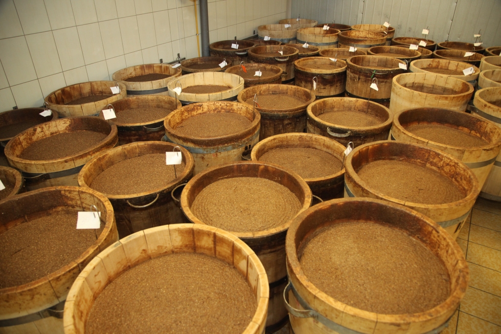 Autors: Gatis Bogdanovs