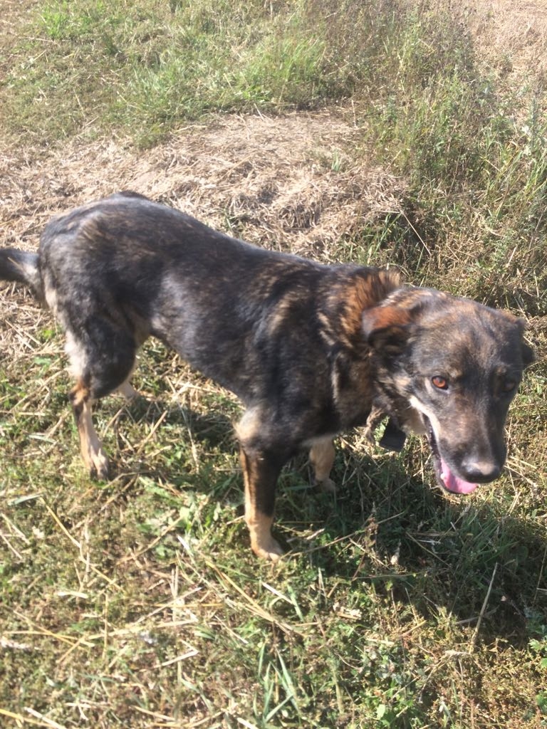 Autors: no personiskā arhīva