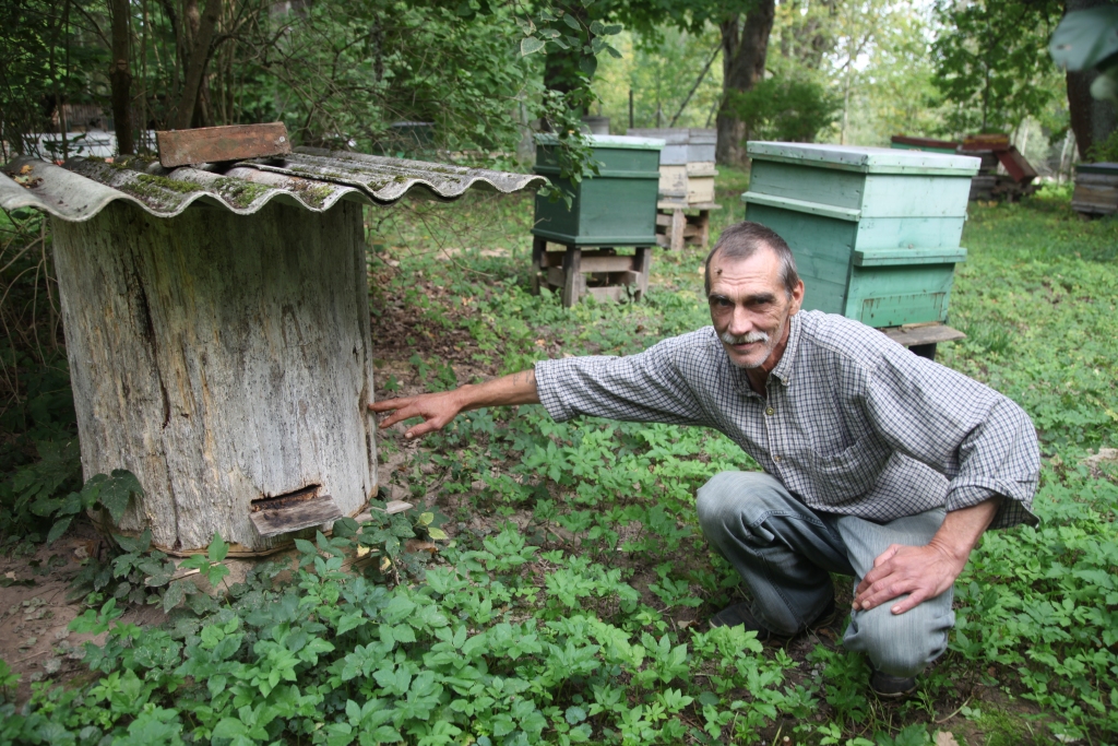 Stāmerenietis Andris Lamsteris pats gatavo bišu stropus. Īpašs ir strops no ozola ar cauru vidu, kas pirms daudziem gadiem nolūza pie mājas. Lai gan ozola stropā ir skreja, bites atrod arī citas ejas.    
Autors: Gatis Bogdanovs