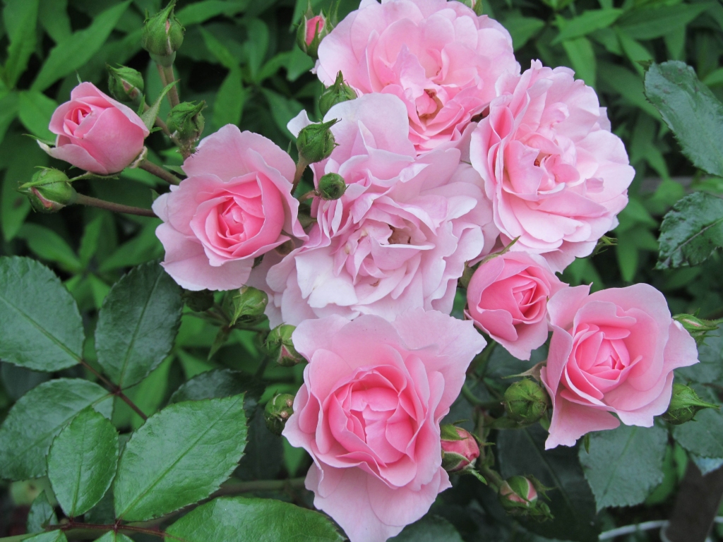 Autors: Aija Konrāde