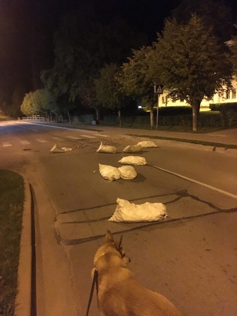 Vai spēcīgā vēja nedarbi Skolas ielā Gulbenē? Nē, naktī uz 12.septembri nakts aizsegā nenoskaidroti palaidņi ir aizstiepuši ielas malā novietotos ābolu maisus un izmētājuši pa ielas braucamo daļu. Nejaušs aculiecinieks to fiksējis.       
Autors: aculiecinieka foto