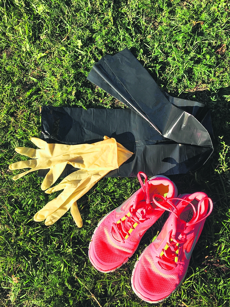 Lai nodarbotos ar “plogingu”, nevajag daudz – skriešanas apavus, atkritumu maisu un cimdus.

Autors: Dainis Ģelzis