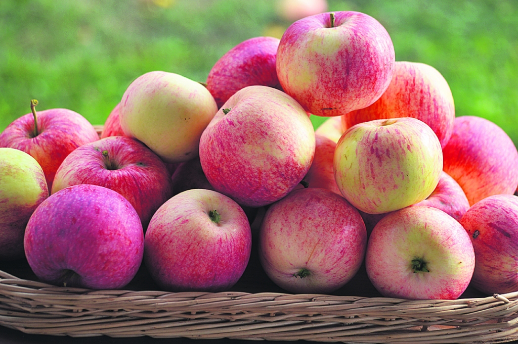 Autors: Raitis Puriņš