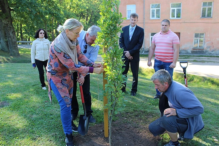 Autors: www.gulbene.lv