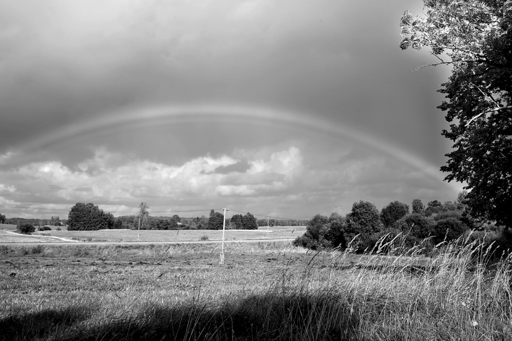 Autors: Ilustratīvs foto: Gatis Bogdanovs 