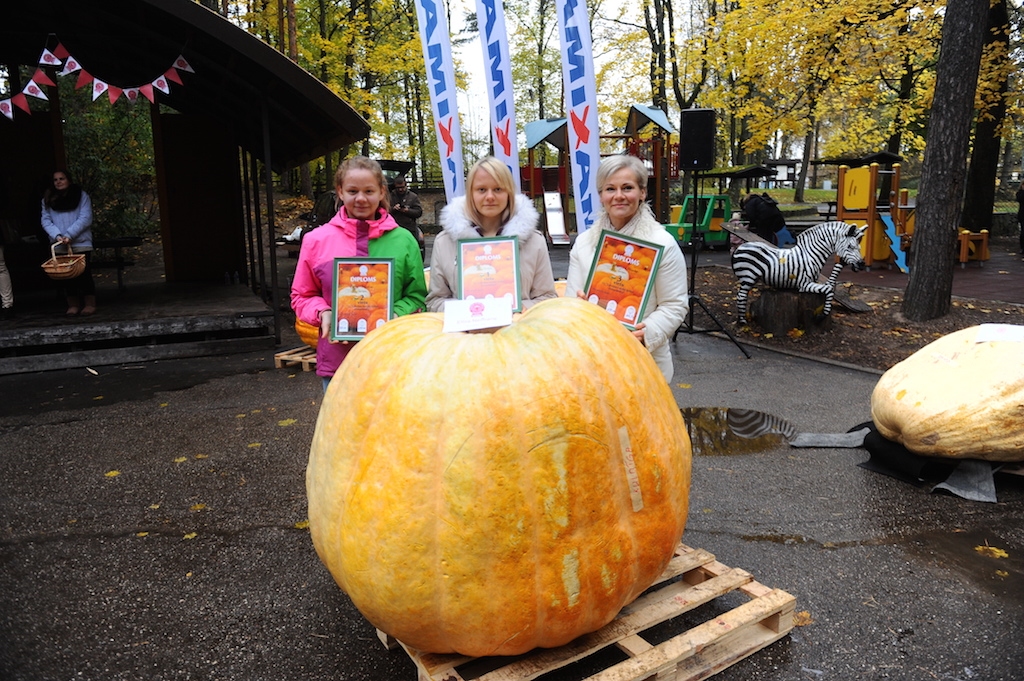 Autors: publicitātes foto