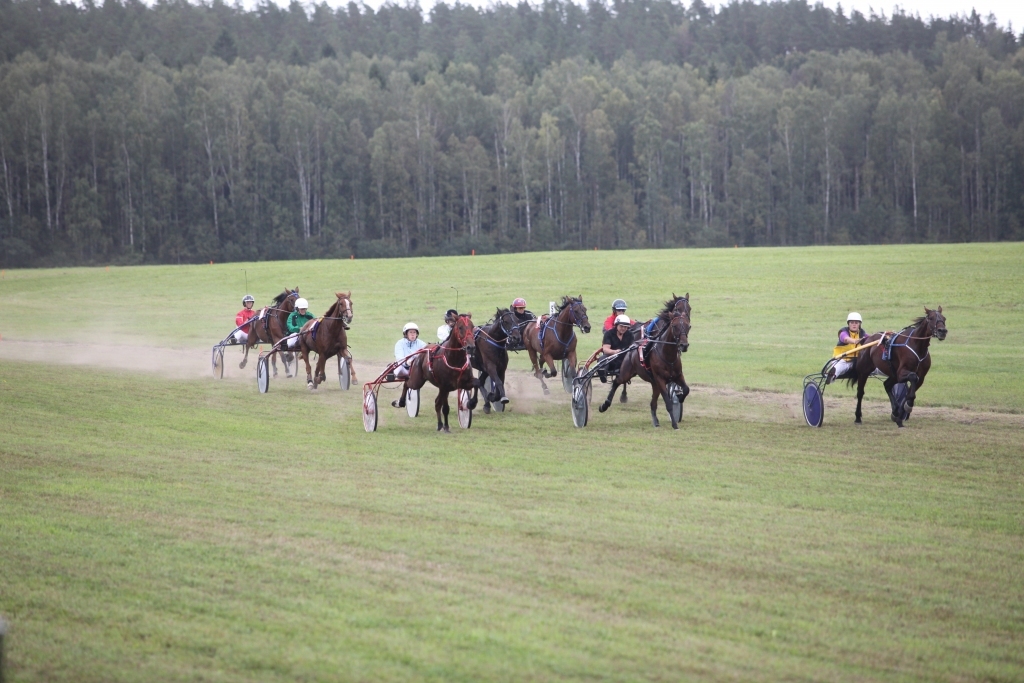 Rikšotāju zirgu sacensību “Beķeru kauss 2018” finālā sīvā konkurencē cīnījās 8 braucēji, kas trasē reizēm bija gan blakus, gan arī apdzina. Pirms paša finiša uzvaru lietuvietei Sandrai Dirsienei izrāva Sandra Soikāne, kas iepriekš bija tai cieši sekojusi.      
Autors: Gatis Bogdanovs
