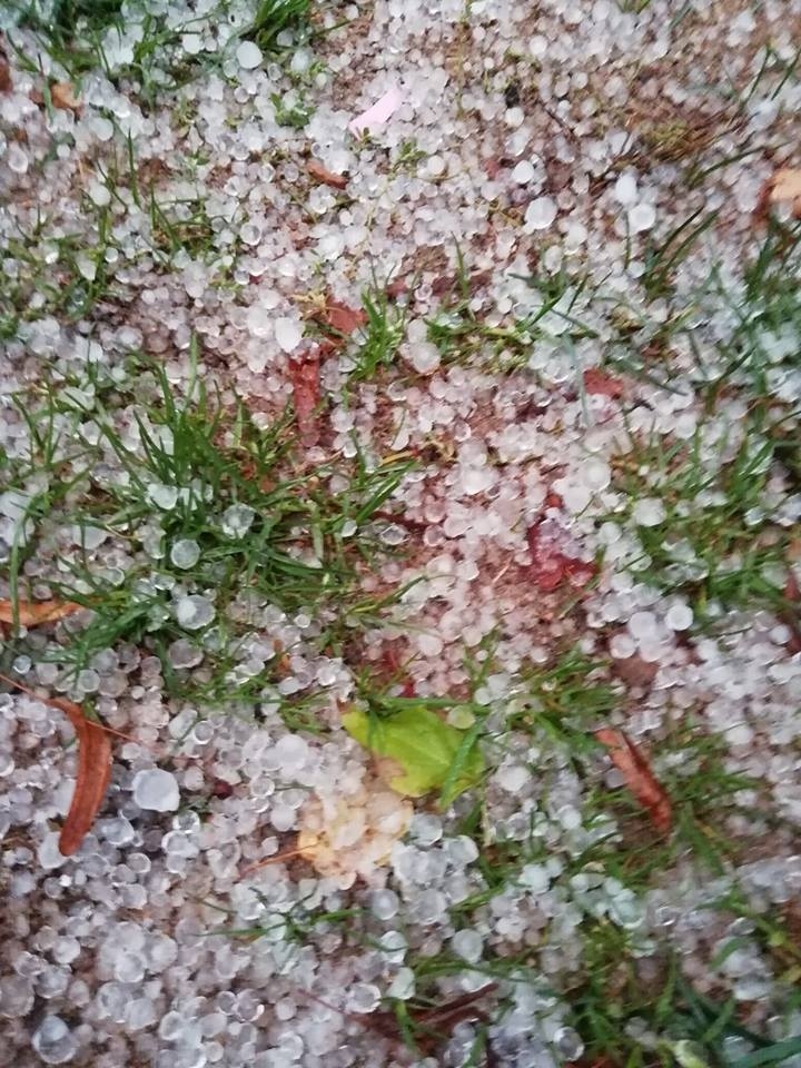 Krusa Stāmerienā.
Autors: Evita Teice (facebook.com)