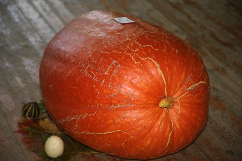 Autors: Inita Savicka