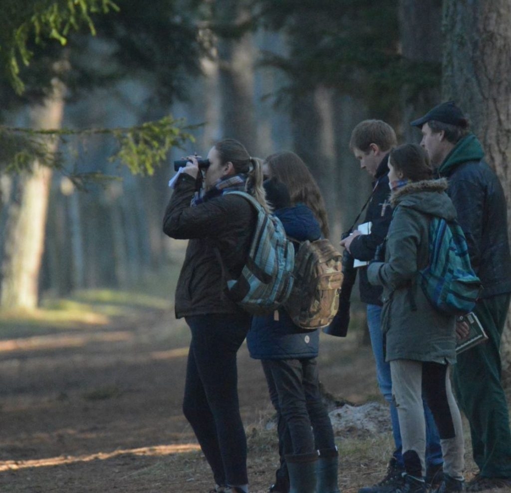 Autors: no Dzirksteles arhīva