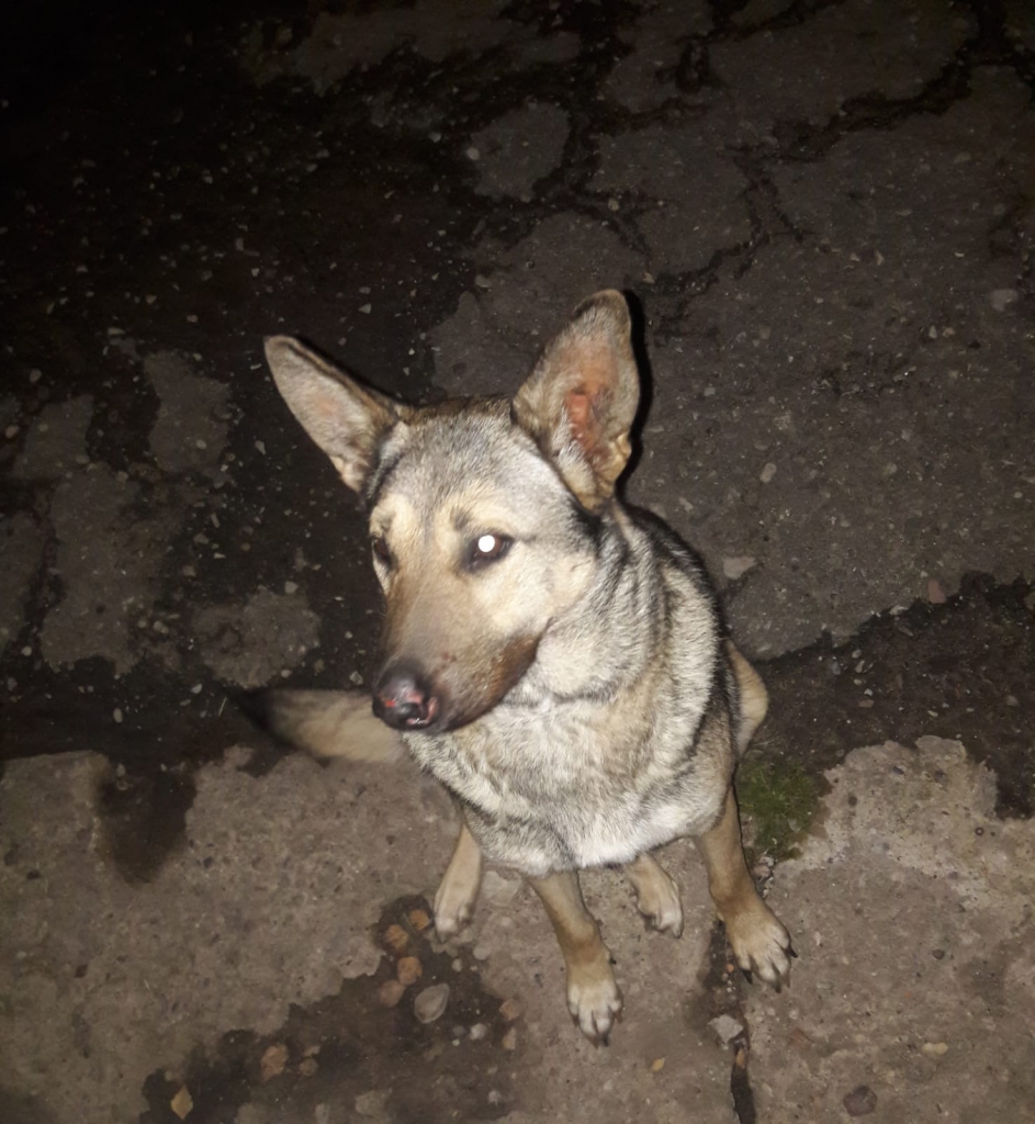 Autors: no personiskā arhīva