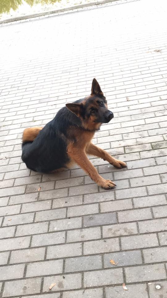 Autors: Sendija Piļka (facebook.com)