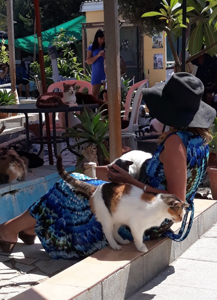 Autors: Iveta Krūmiņa