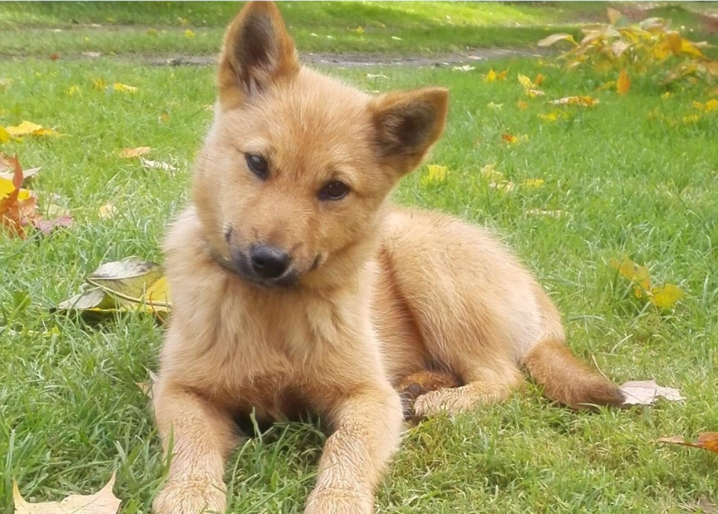 Autors: no personiskā arhīva