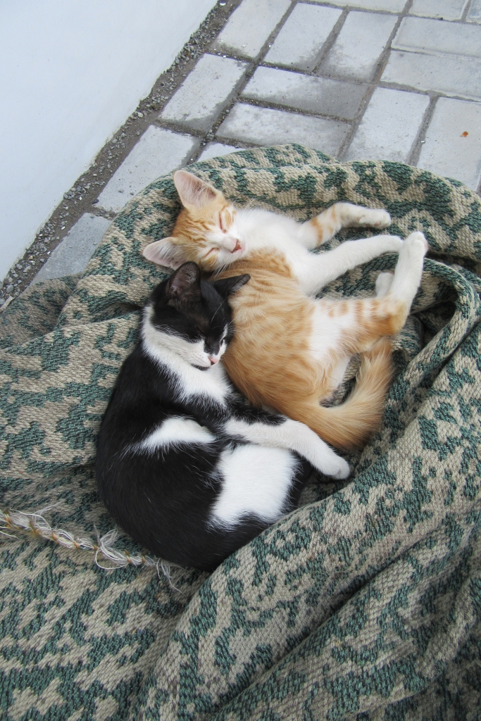 Autors: Inese Indzere