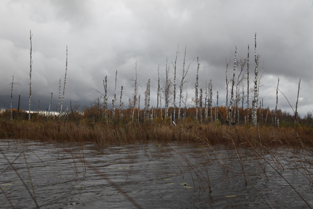 Ludza ezers aizņem 280,9 hektārus, atrodas Stāmerienas pagastā.
Autors: no Dzirksteles arhīva