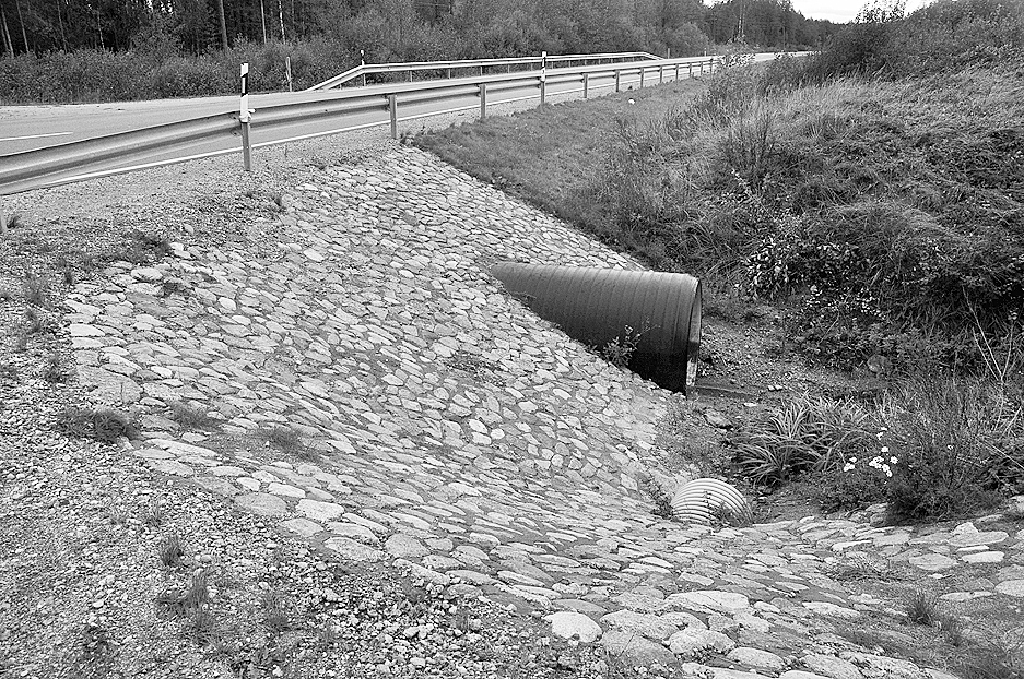 Autors: DAINIS ĢELZIS