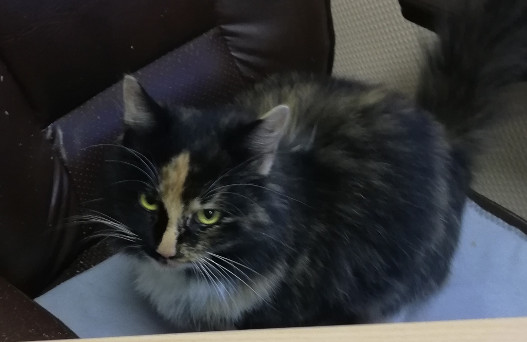 Autors: no personiskā arhīva