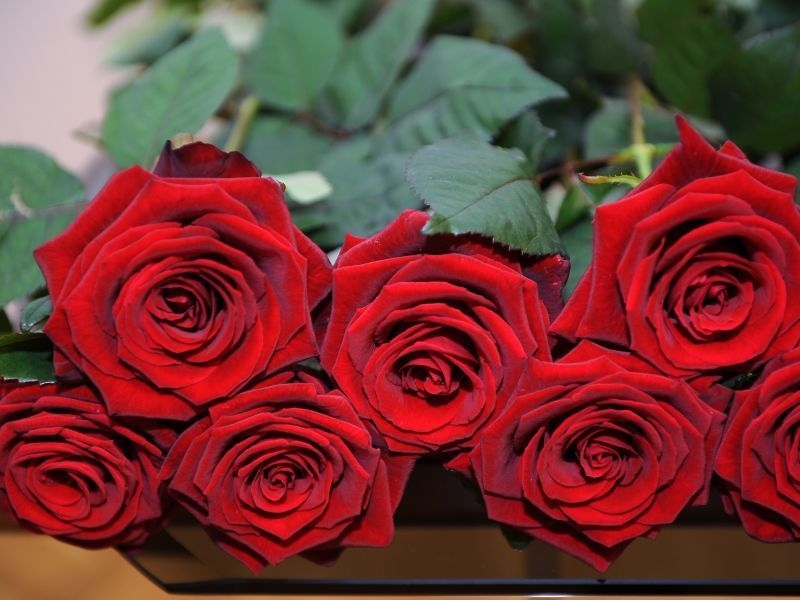 Autors: ilustratīvs