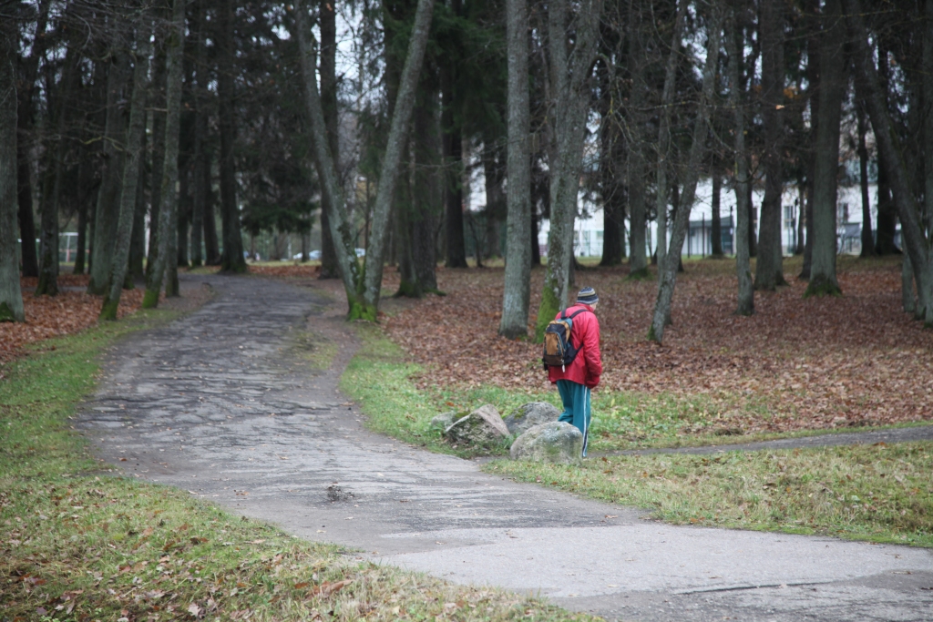 Autors: no “Dzirksteles” arhīva