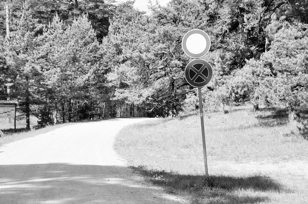 Autors: DAINIS ĢELZIS