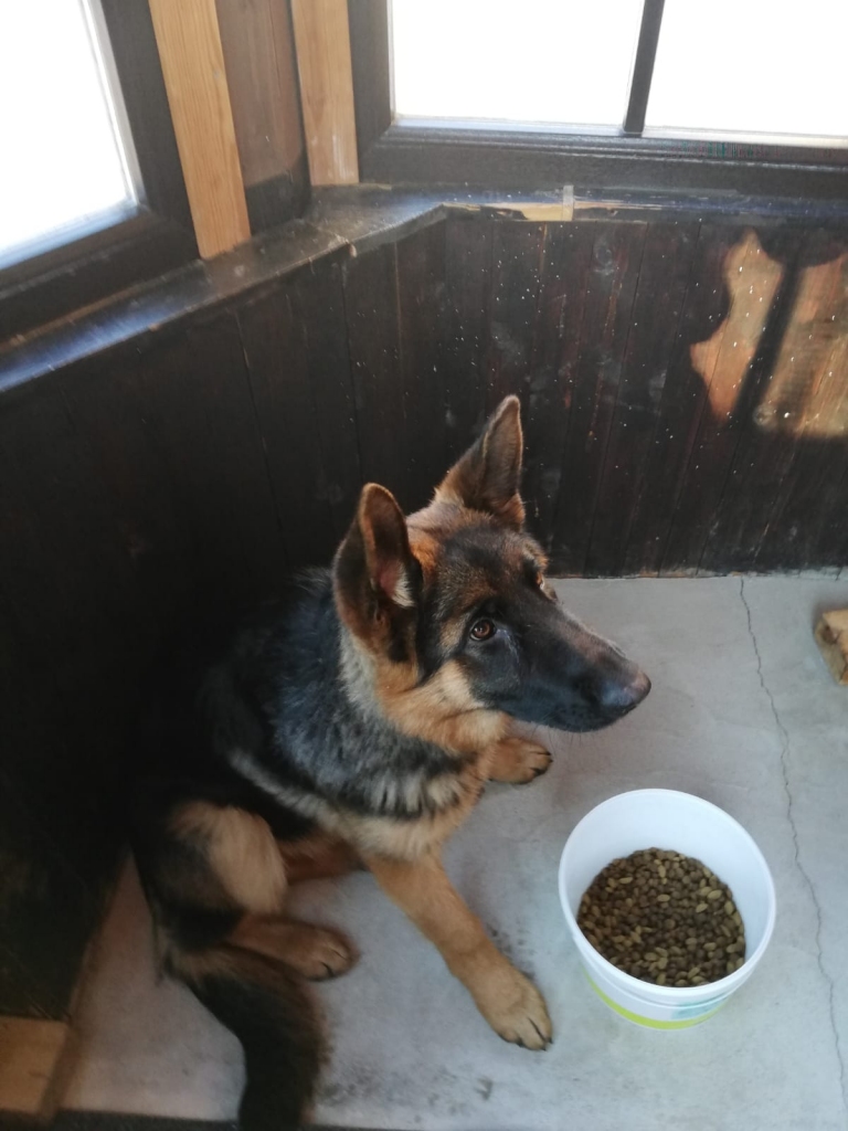 Autors: no privātā arhīva