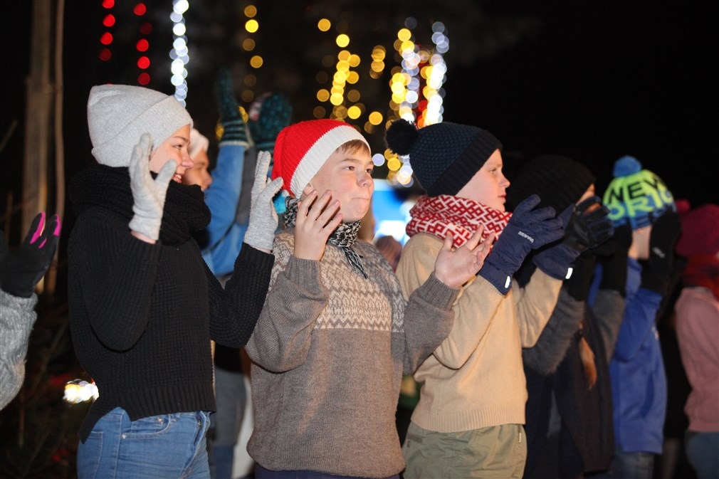 Autors: Gatis Bogdanovs