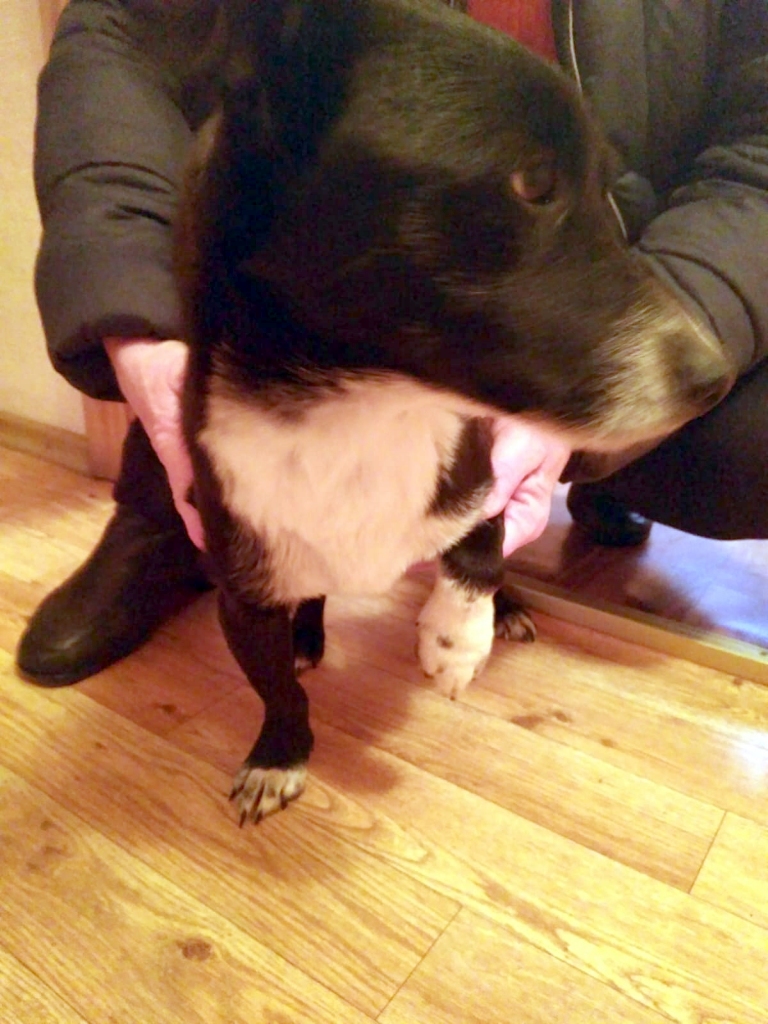 Autors: no personiskā arhīva