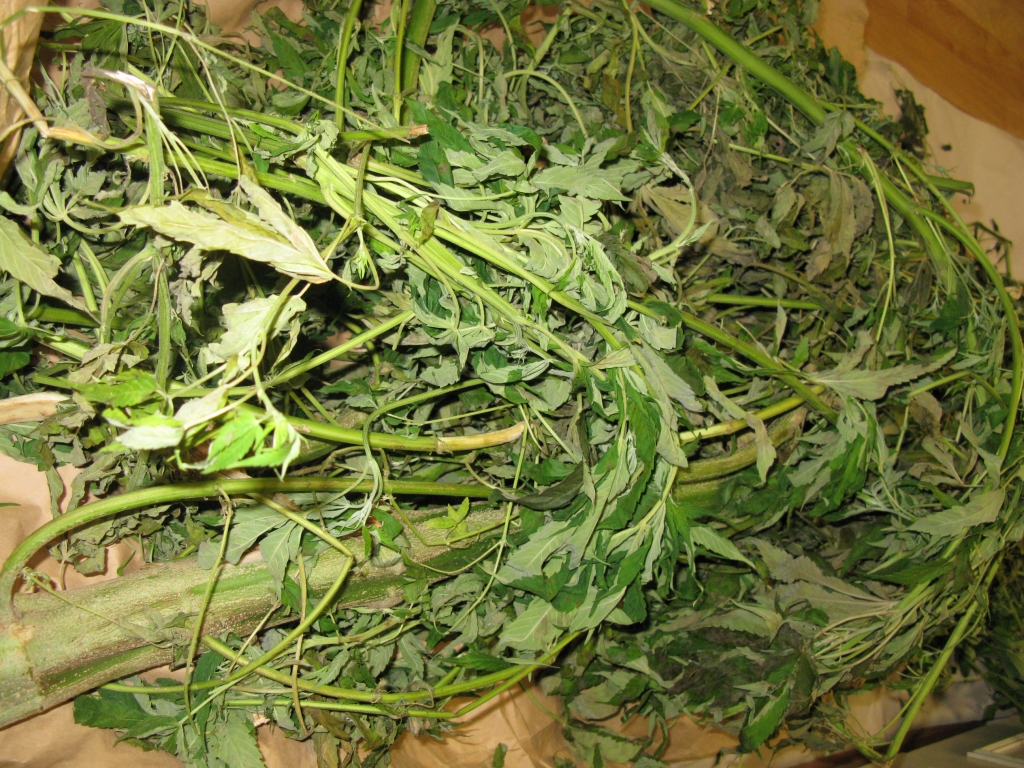 Autors: no Dzirksteles arhīva