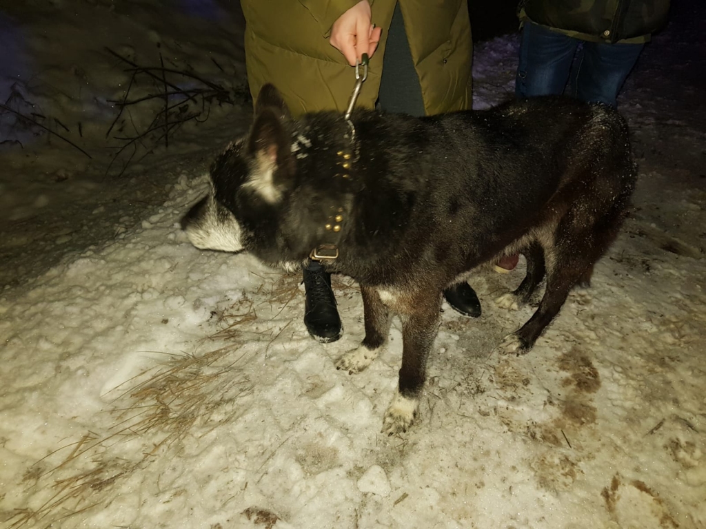 Autors: no personiskā arhīva