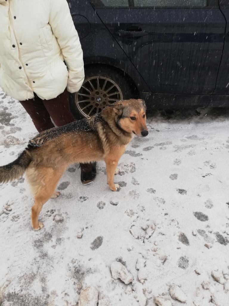 Autors: no personiskā arhīva