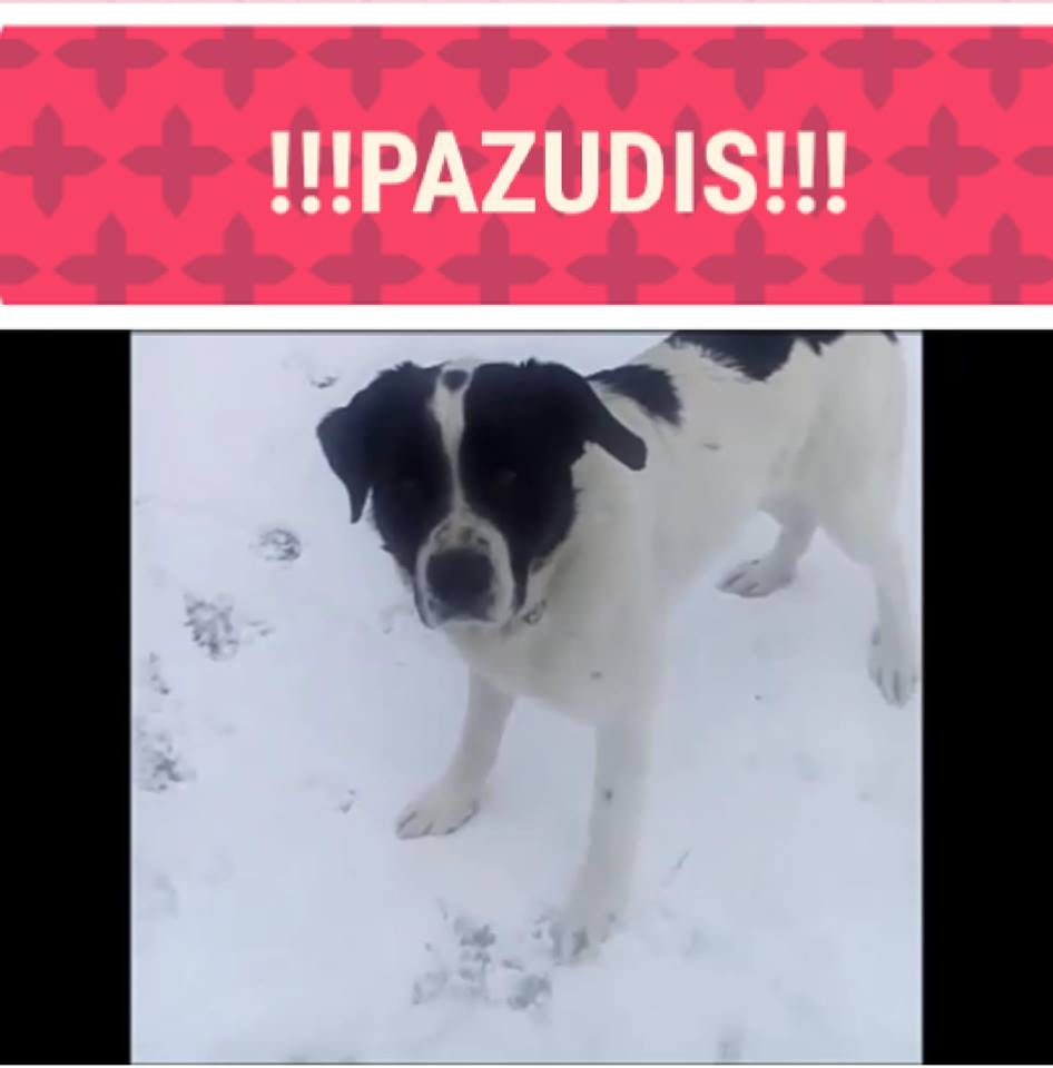 Autors: Megija Rudzīte (facebook.com)