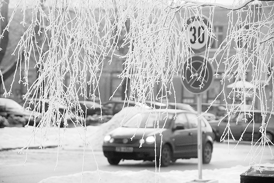 Autors: DAINIS ĢELZIS