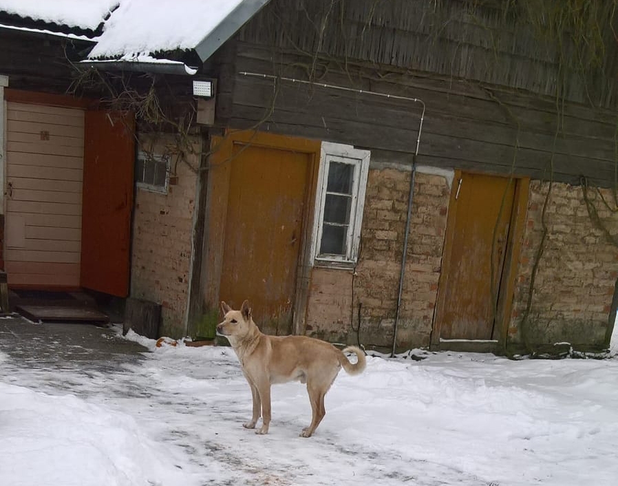 Autors: no personiskā arhīva