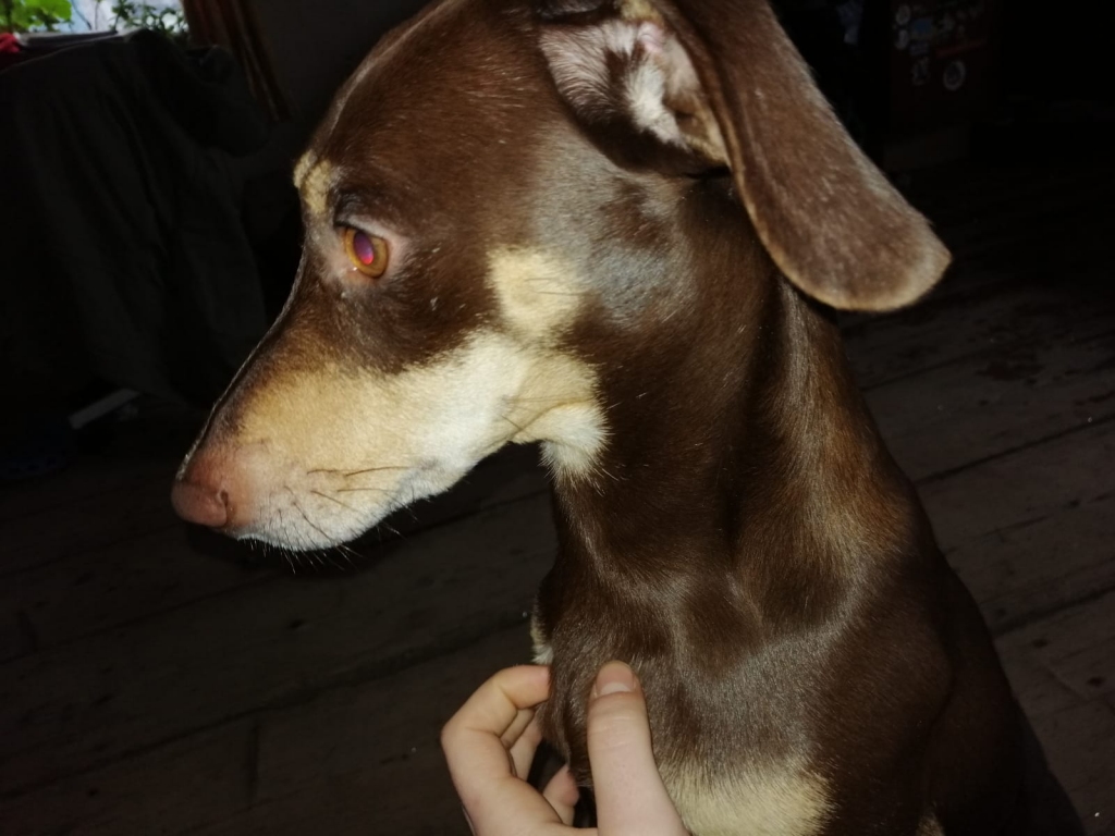 Autors: no personiskā arhīva