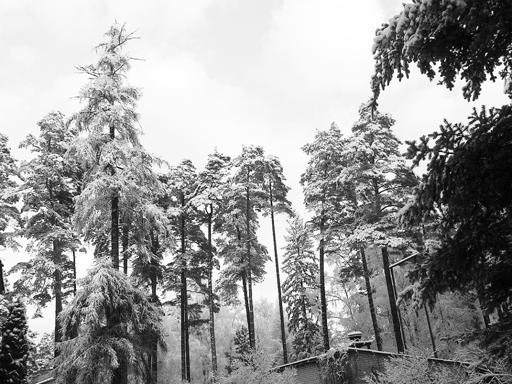 Autors: DAINIS ĢELZIS