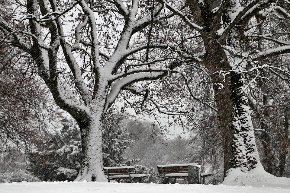 Autors: www.pixabay.lv