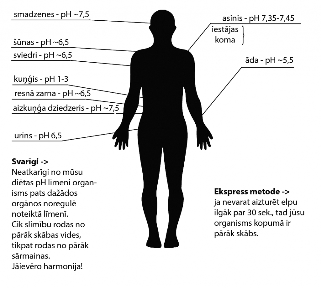 Dažādos mūsu ķermeņa orgānos pH ir atšķirīgs, viszemākais – kuņģī, jo tam ir jāspēj pārstrādāt barību un iznīcināt organismam bīstamās baktērijas.