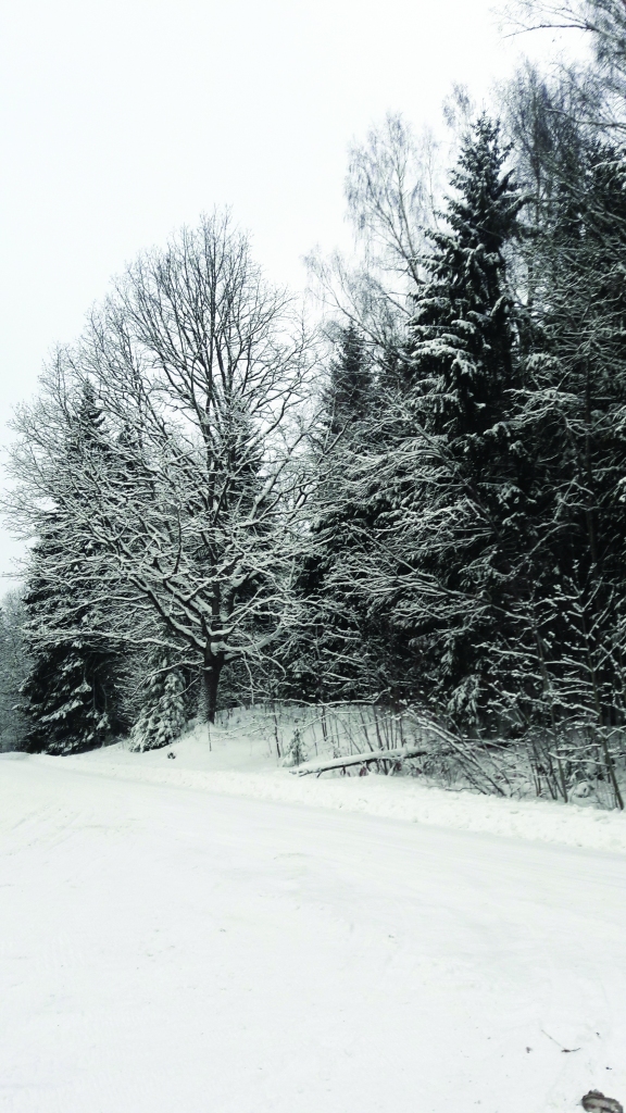 Autors: Ginta Alberte