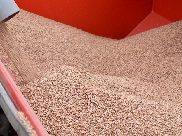 Autors: ilustratīvs foto (pilseta24.lv)