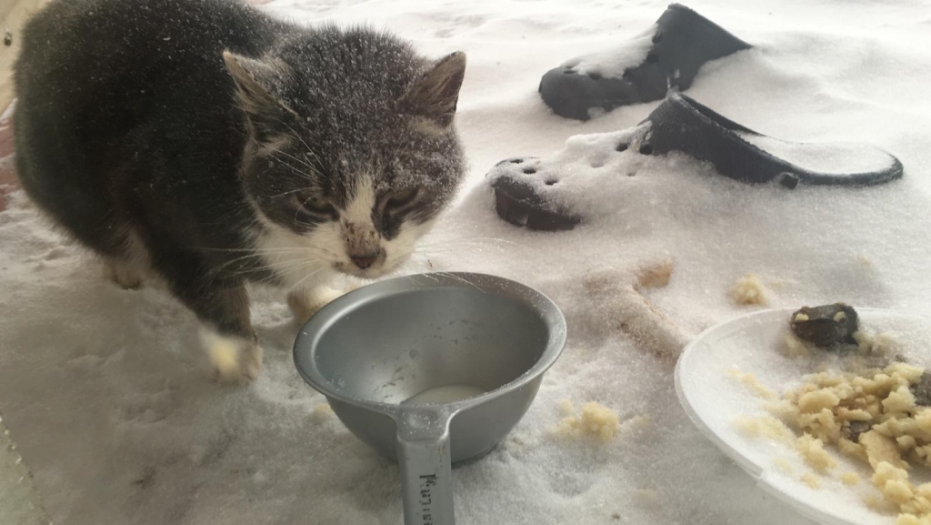 Autors: Ira Žeigure