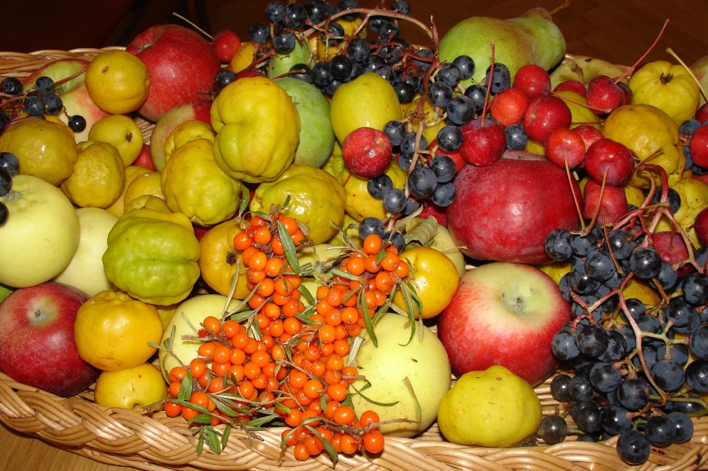 Autors: ilustratīvs foto