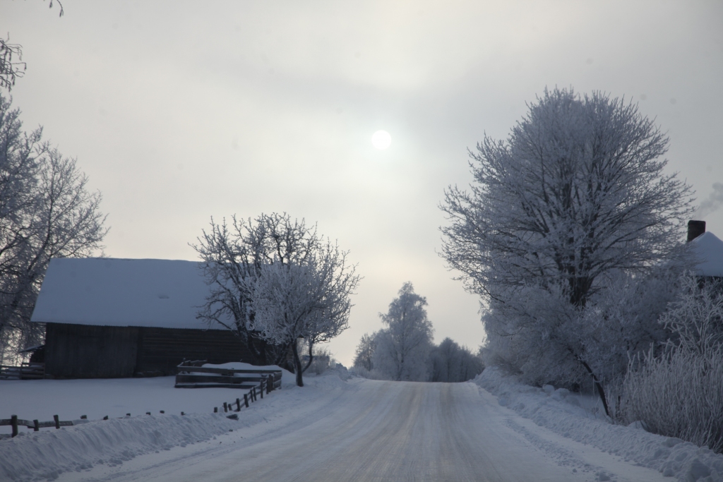 Autors: Gatis Bogdanovs