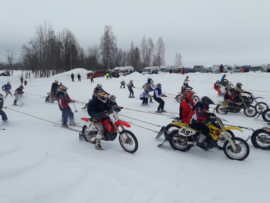 Tikko sācies atkusnis nepatraucēja sestdien trasē doties skijoringa braucējiem. 
Autors: Inita Savicka