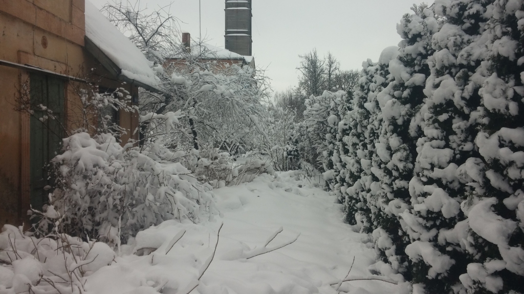 Autors: Tamāra Ulase