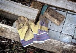 Autors: ilustratīvs foto