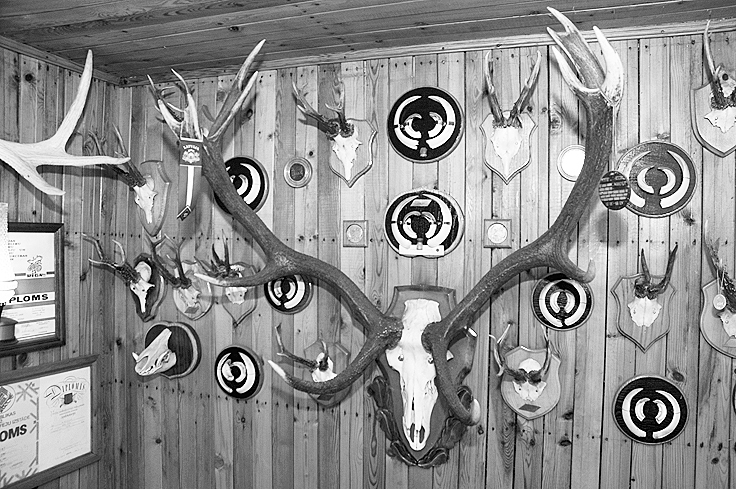 Autors: DAINIS ĢELZIS