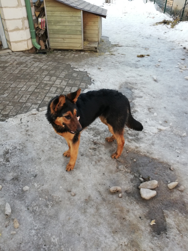 Autors: no Iras Žeigures arhīva