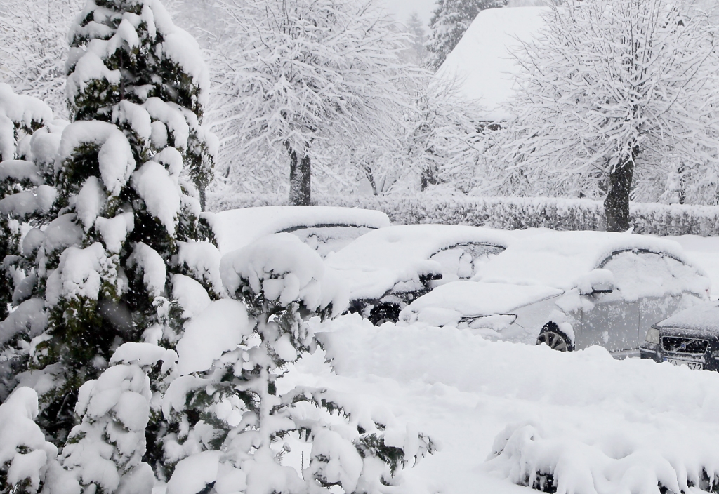 Autors: Gatis Bogdanovs