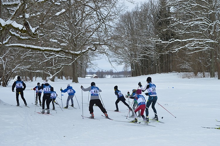 Autors: no Dzirksteles arhīva